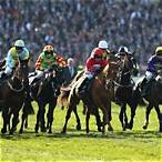 bet on the grand national 2019